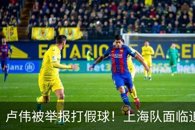 卢伟被举报打假球！上海队面临追罚，张镇麟坑惨球队